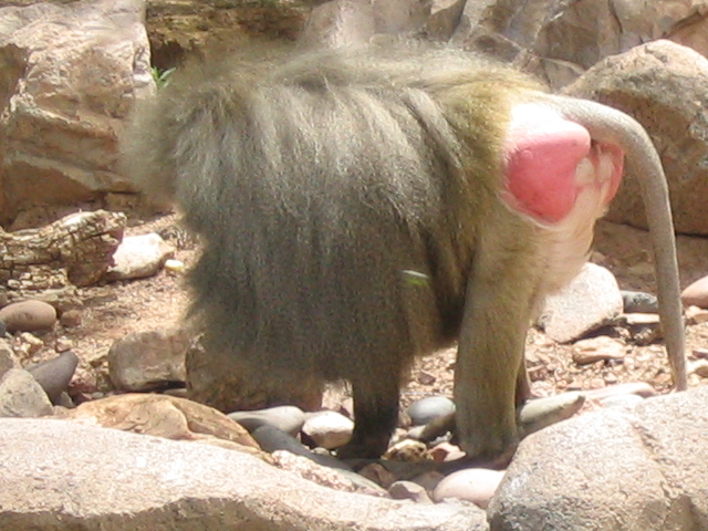 618x457 pixels (193K)